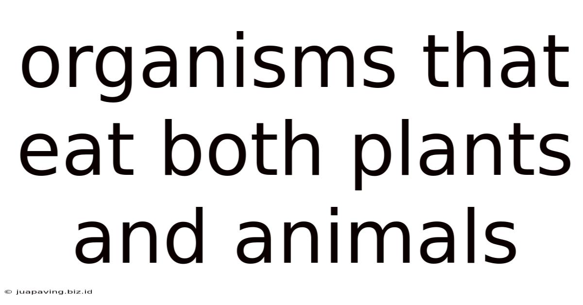 Organisms That Eat Both Plants And Animals