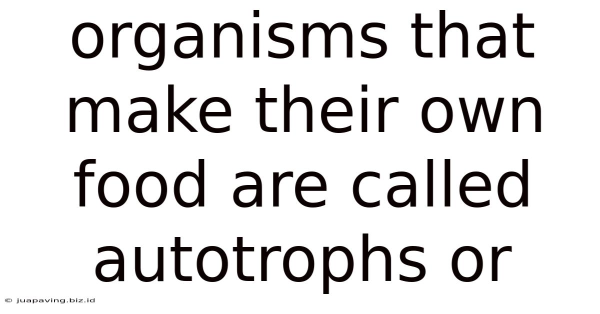 Organisms That Make Their Own Food Are Called Autotrophs Or