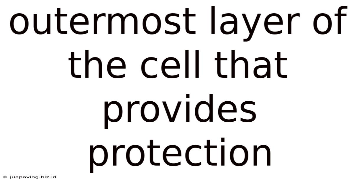 Outermost Layer Of The Cell That Provides Protection