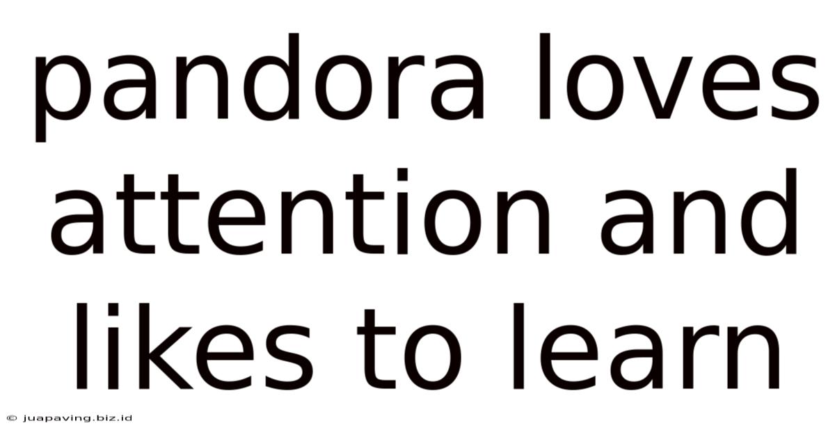 Pandora Loves Attention And Likes To Learn