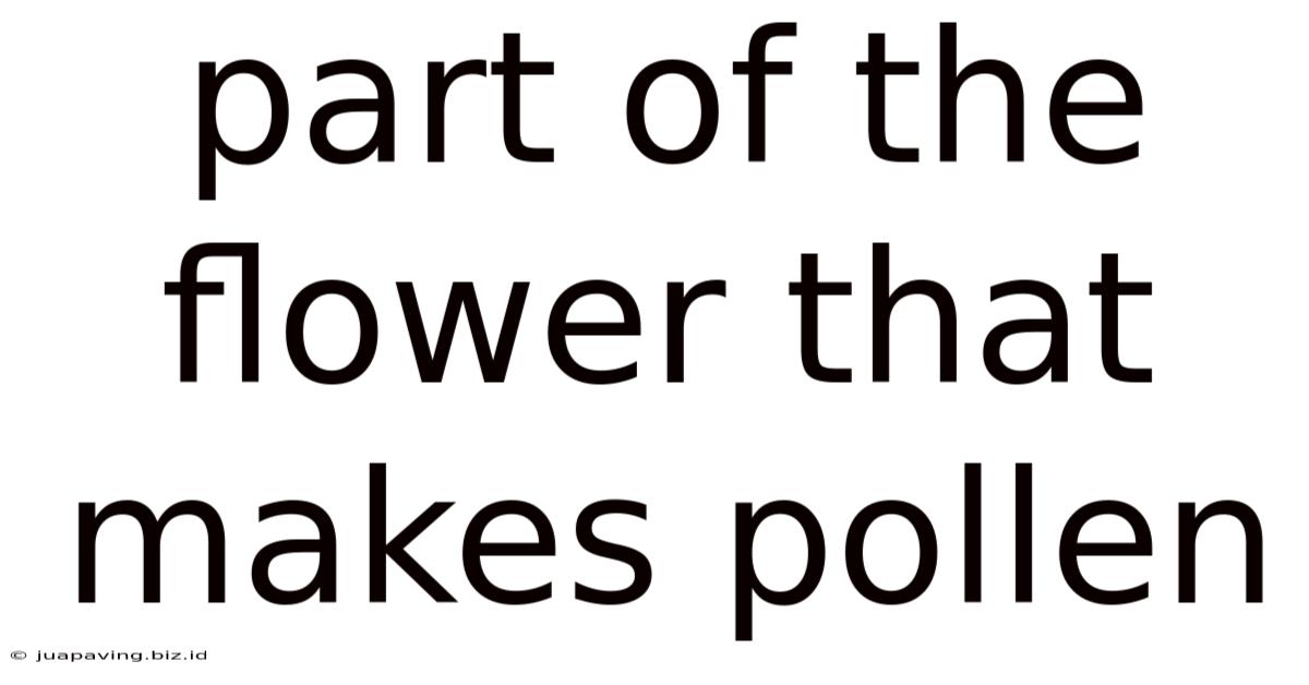 Part Of The Flower That Makes Pollen