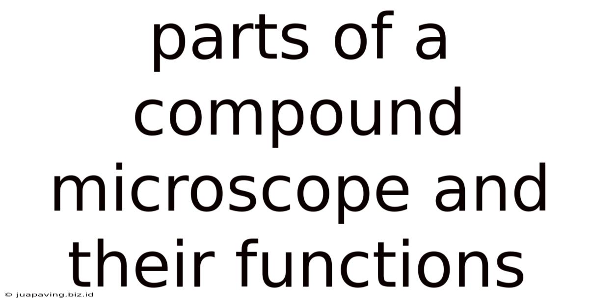 Parts Of A Compound Microscope And Their Functions