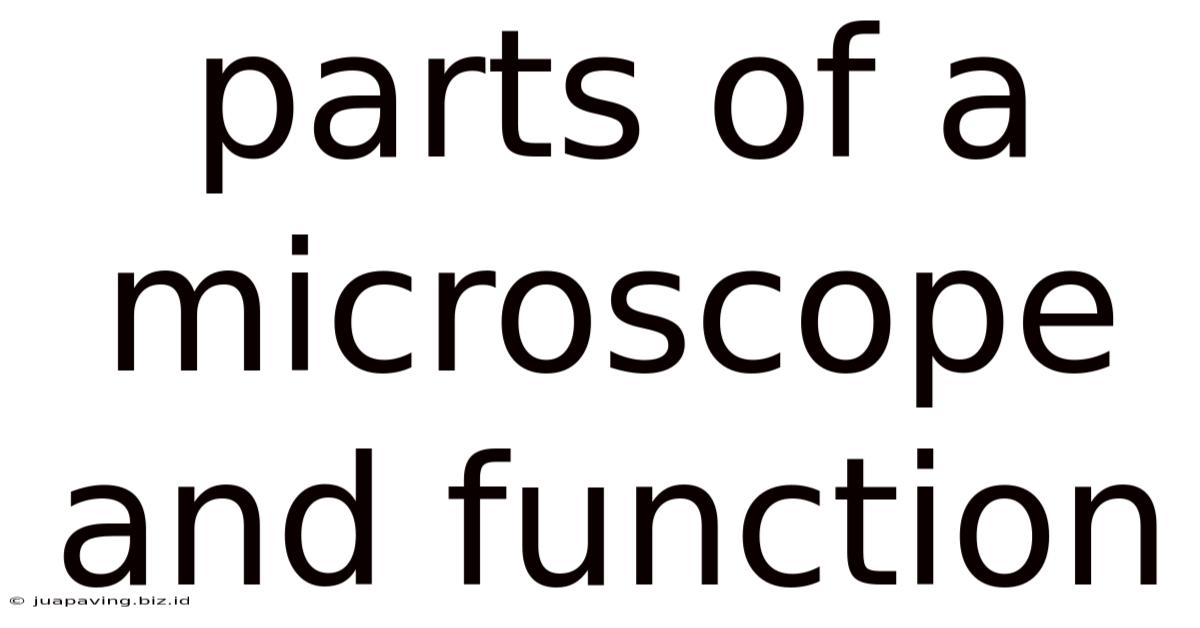 Parts Of A Microscope And Function