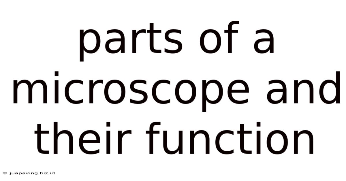 Parts Of A Microscope And Their Function