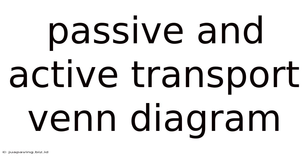 Passive And Active Transport Venn Diagram