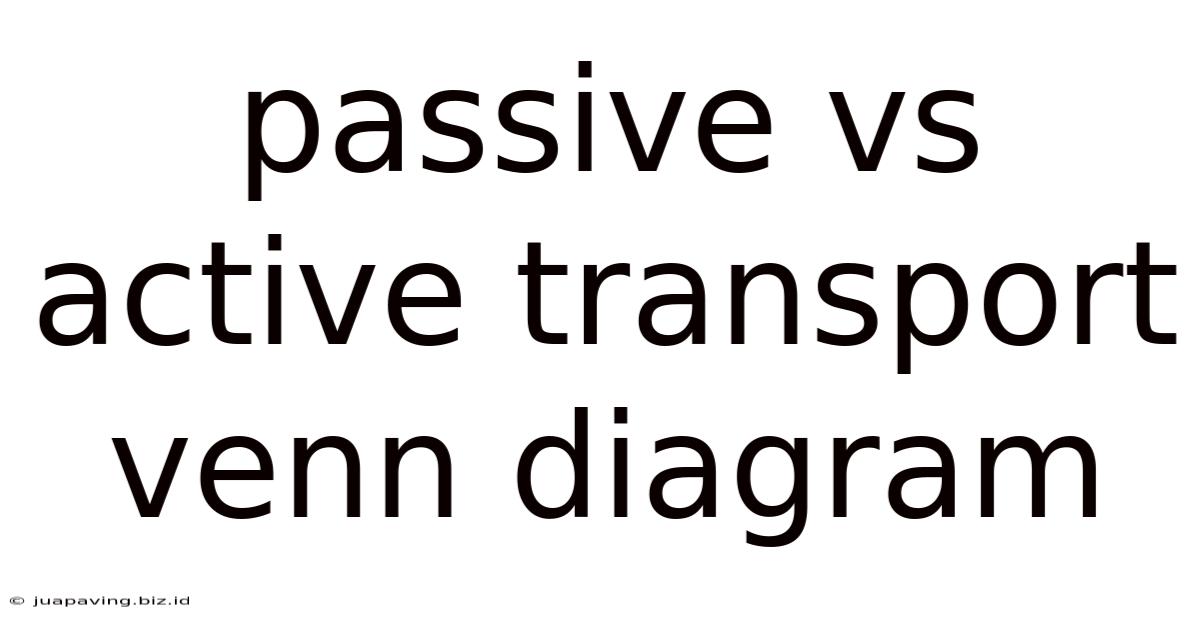 Passive Vs Active Transport Venn Diagram