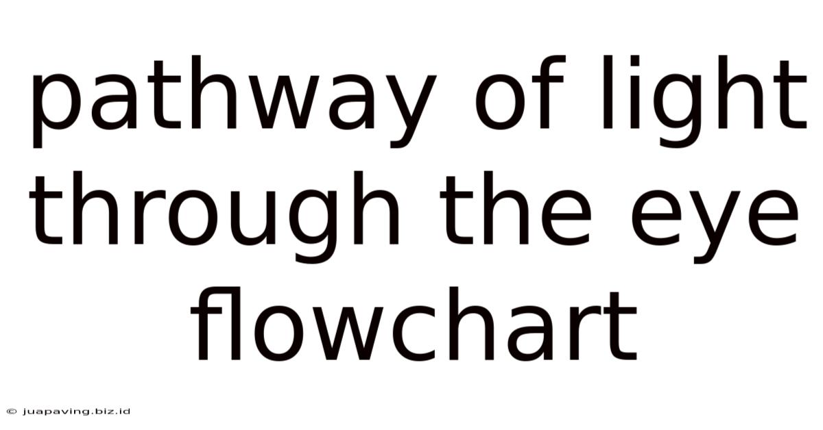 Pathway Of Light Through The Eye Flowchart