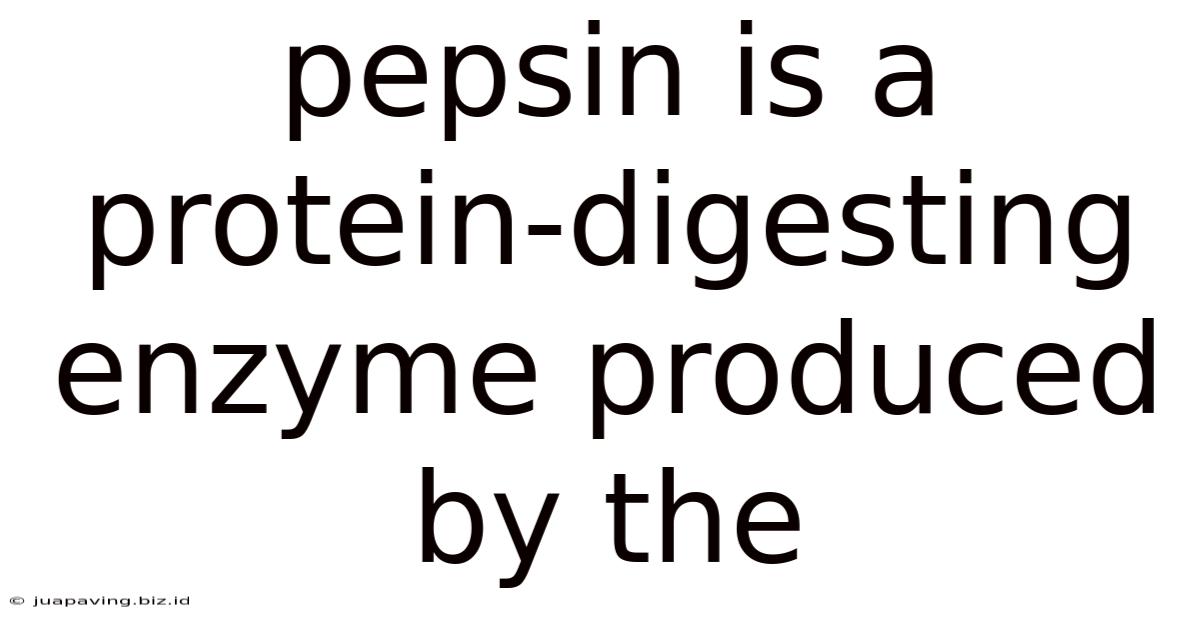 Pepsin Is A Protein-digesting Enzyme Produced By The