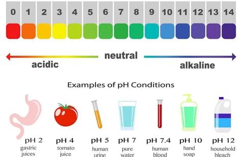 Ph Of Tap Water Vs Distilled Water