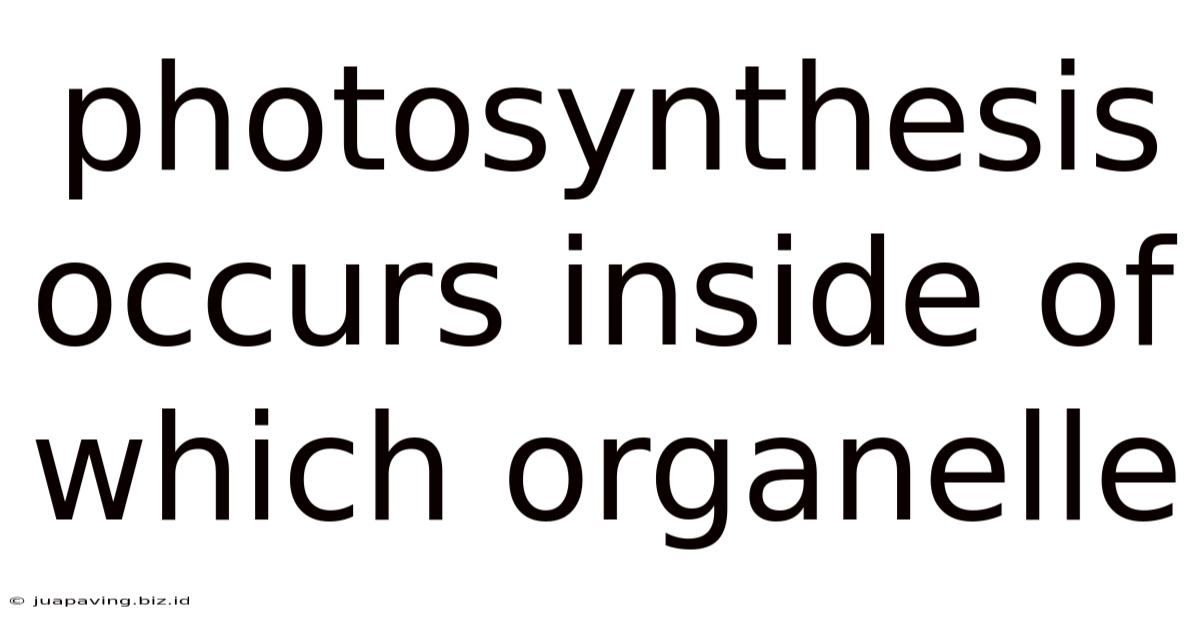 Photosynthesis Occurs Inside Of Which Organelle