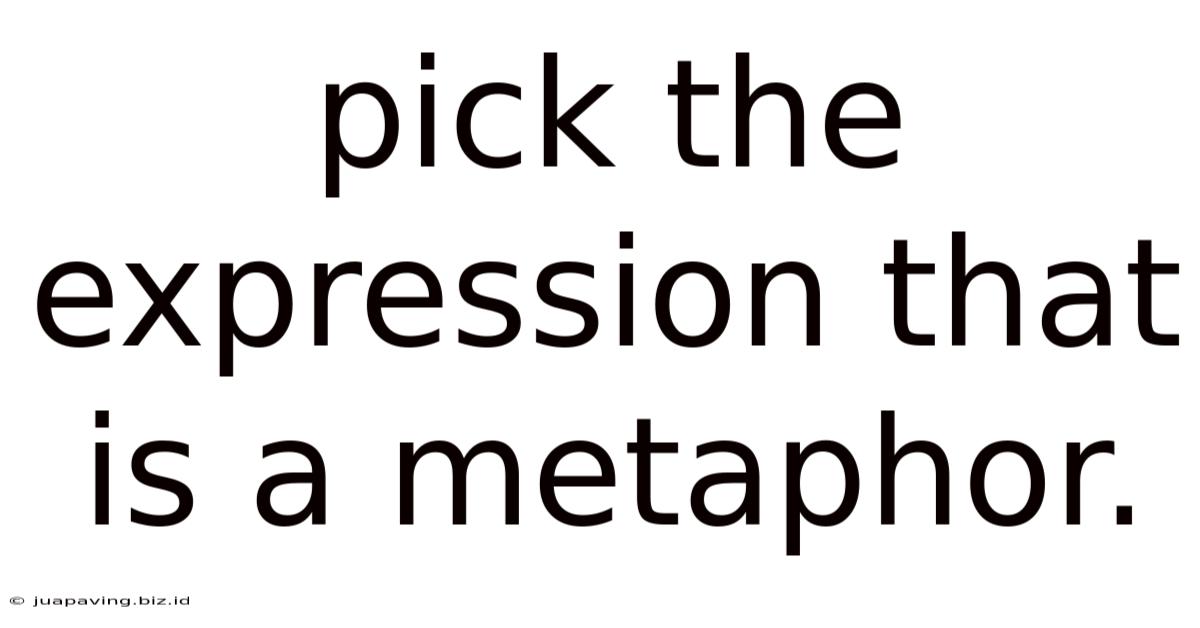 Pick The Expression That Is A Metaphor.