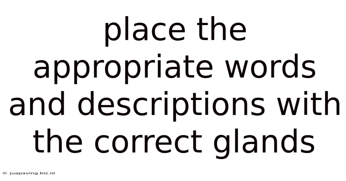 Place The Appropriate Words And Descriptions With The Correct Glands