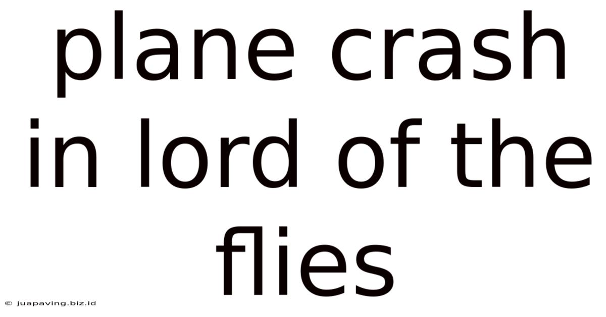 Plane Crash In Lord Of The Flies