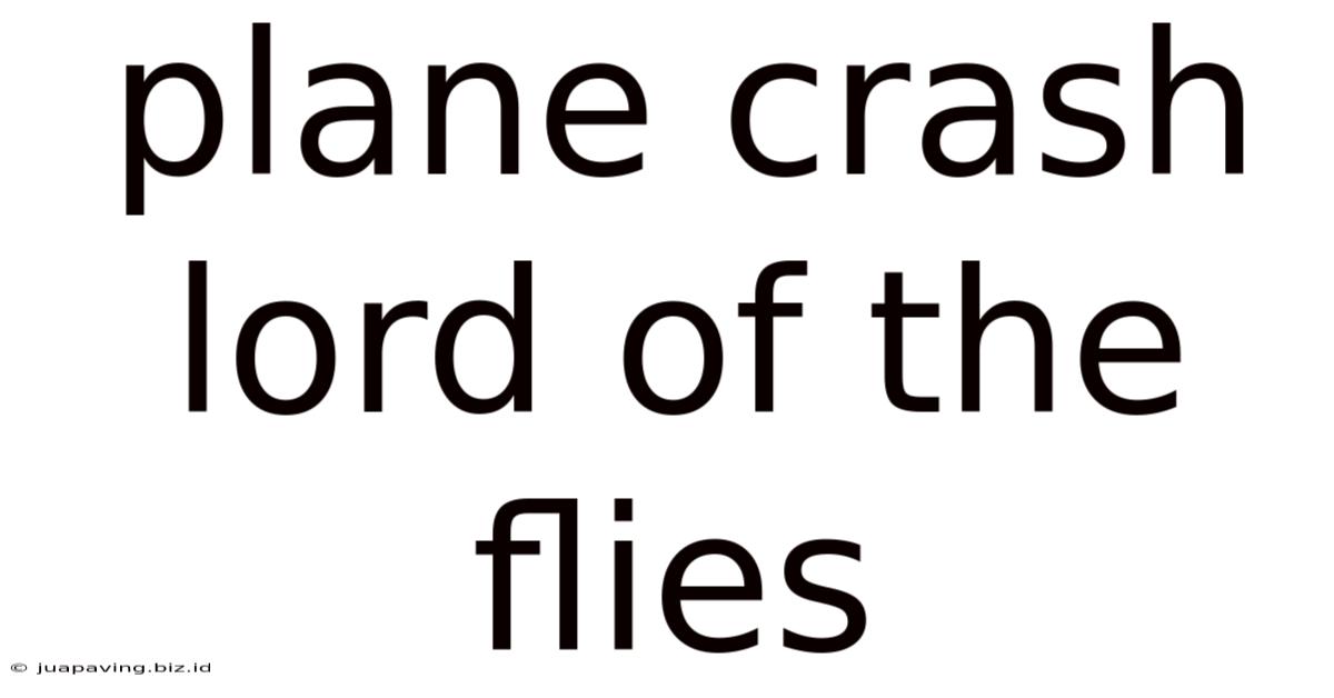 Plane Crash Lord Of The Flies