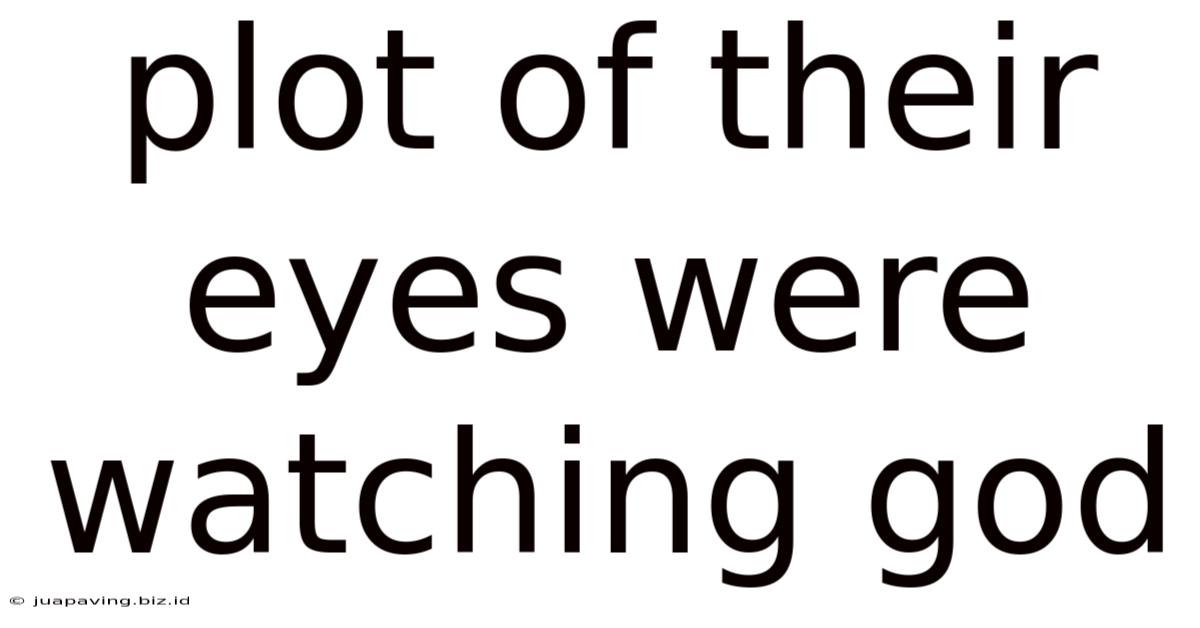Plot Of Their Eyes Were Watching God
