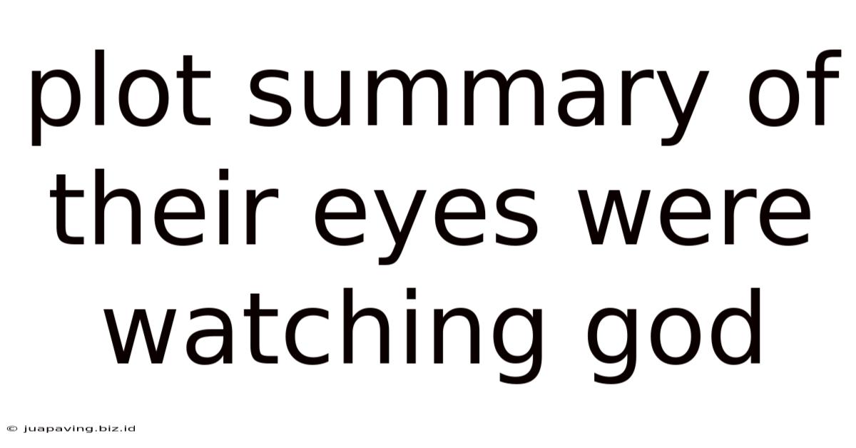 Plot Summary Of Their Eyes Were Watching God
