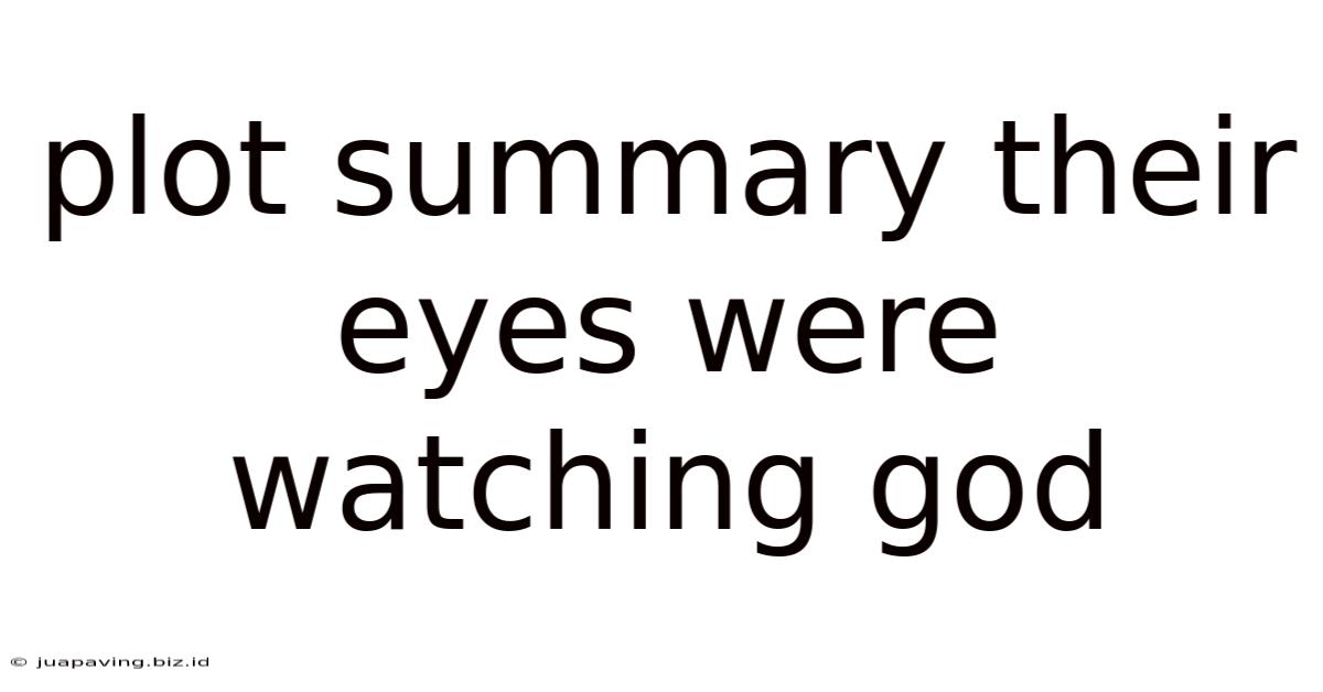 Plot Summary Their Eyes Were Watching God