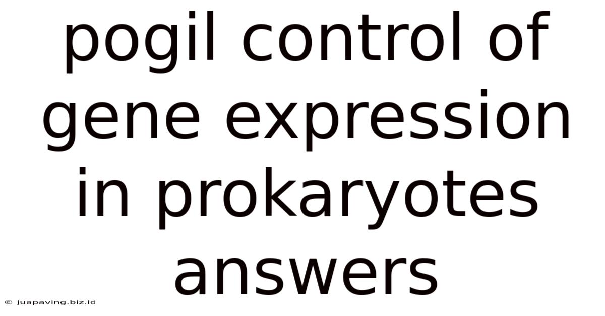 Pogil Control Of Gene Expression In Prokaryotes Answers
