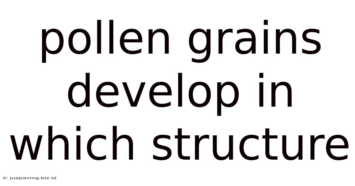 Pollen Grains Develop In Which Structure