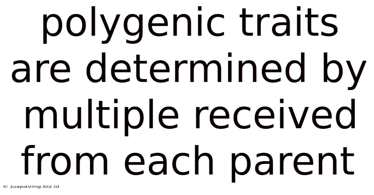 Polygenic Traits Are Determined By Multiple Received From Each Parent