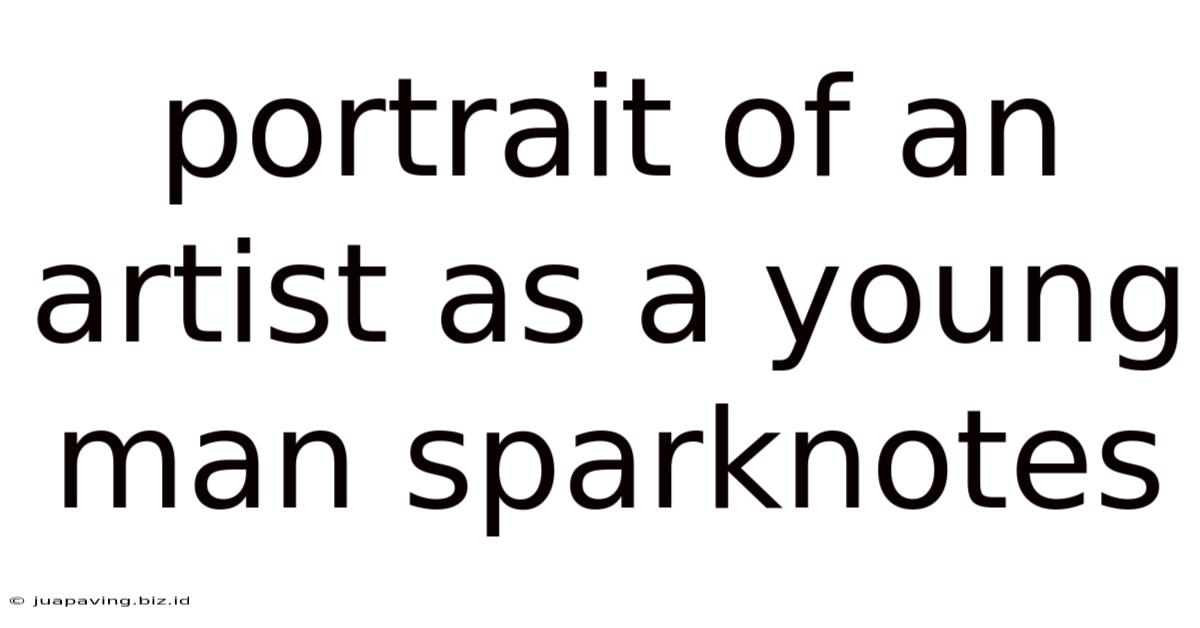 Portrait Of An Artist As A Young Man Sparknotes
