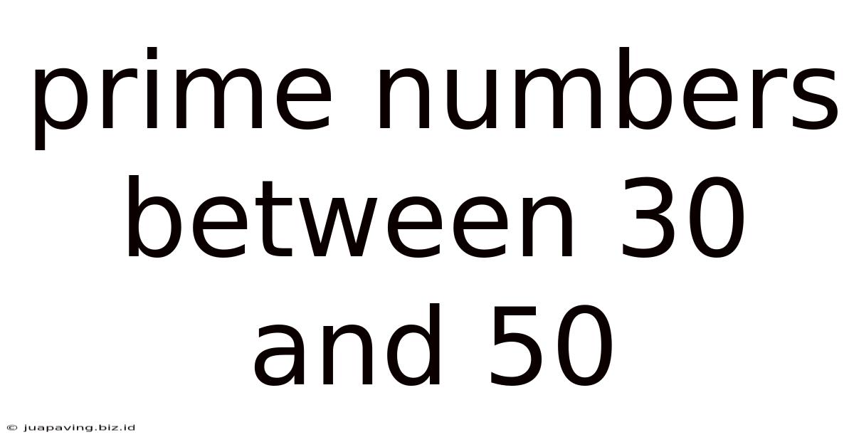 Prime Numbers Between 30 And 50