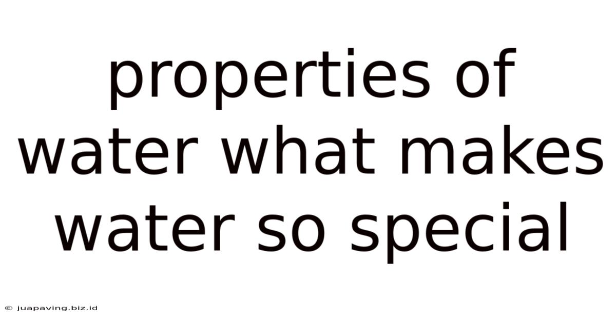 Properties Of Water What Makes Water So Special