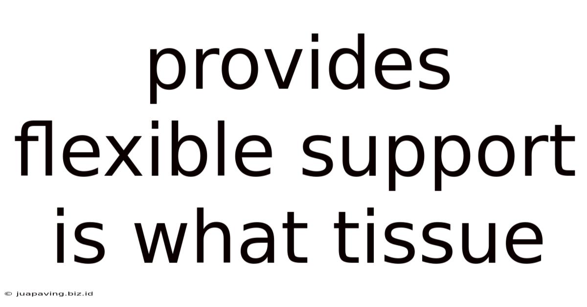 Provides Flexible Support Is What Tissue