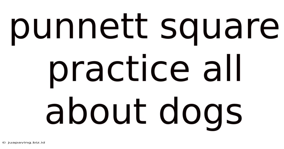 Punnett Square Practice All About Dogs