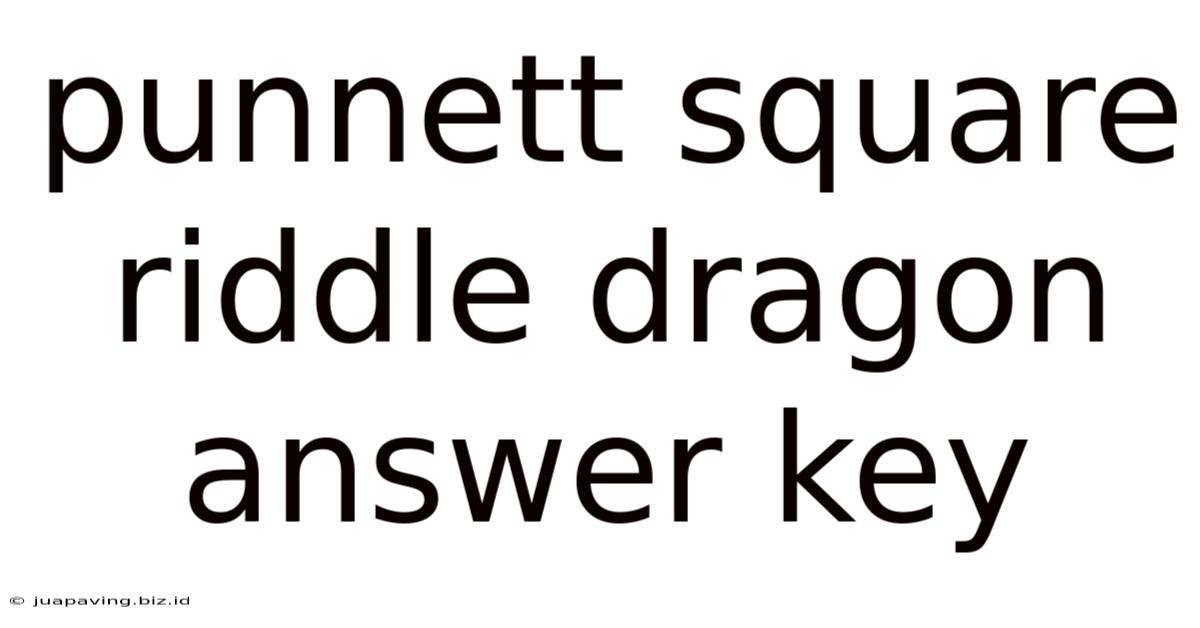 Punnett Square Riddle Dragon Answer Key