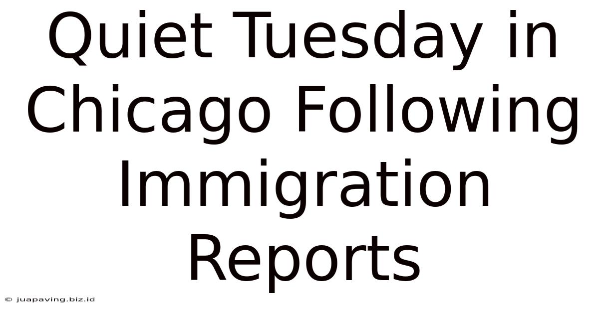 Quiet Tuesday In Chicago Following Immigration Reports