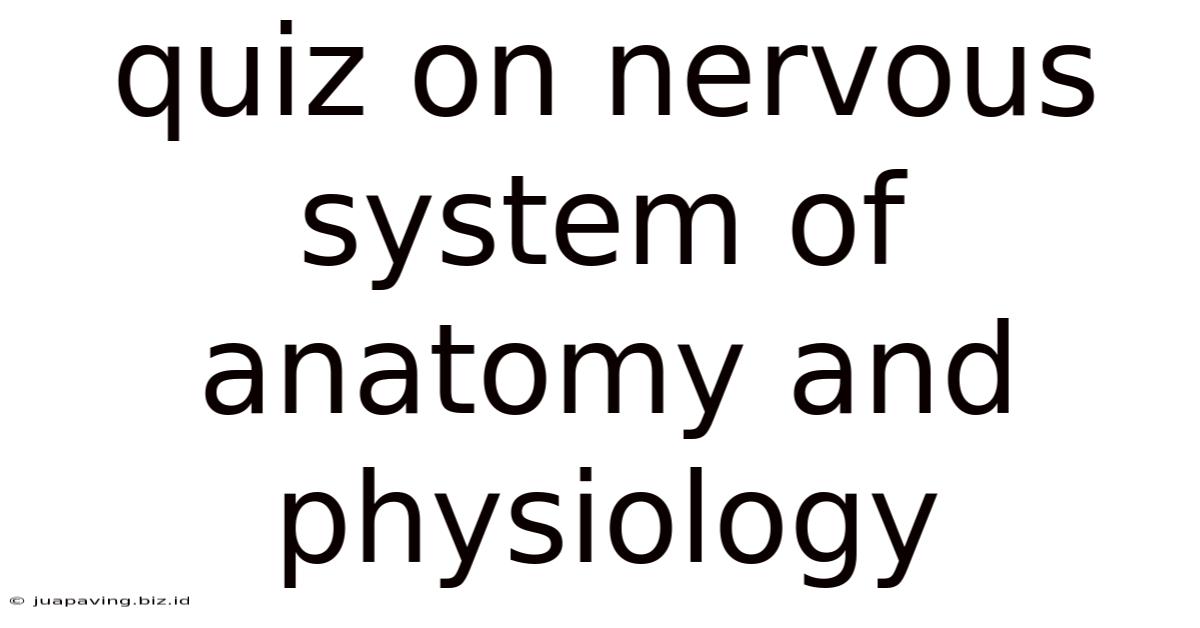 Quiz On Nervous System Of Anatomy And Physiology