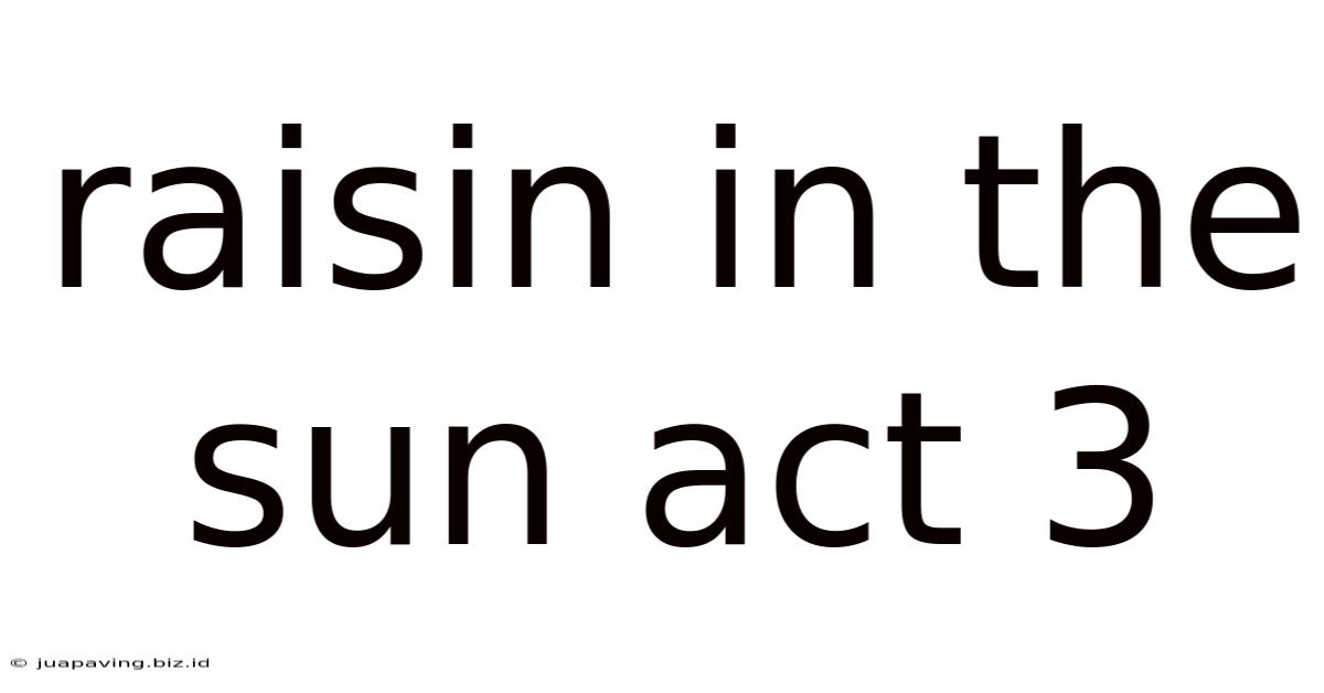 Raisin In The Sun Act 3