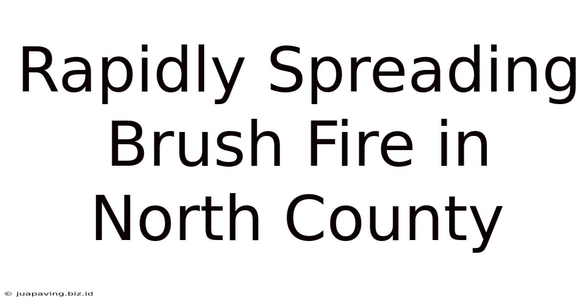 Rapidly Spreading Brush Fire In North County