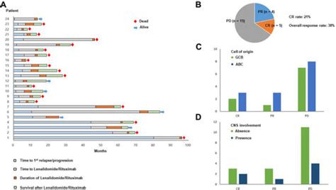 Real-World Data Supports Rituximab Plus Lenalidomide For NHL