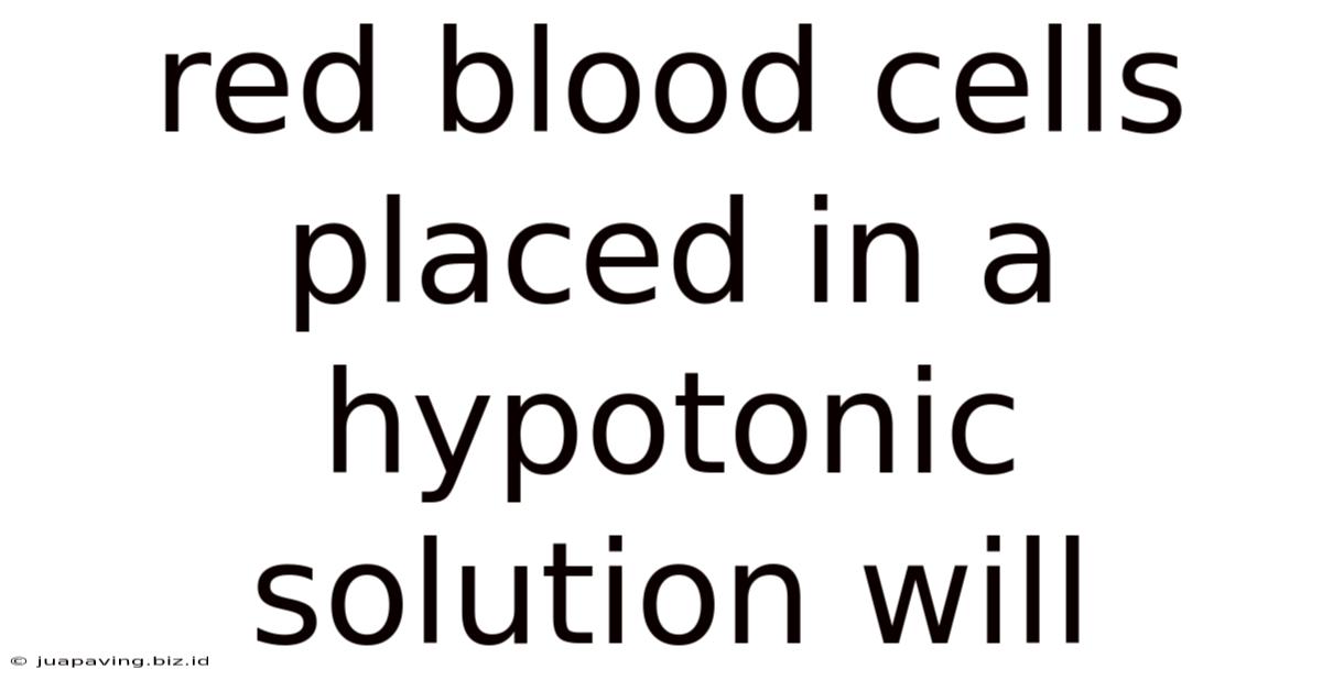Red Blood Cells Placed In A Hypotonic Solution Will