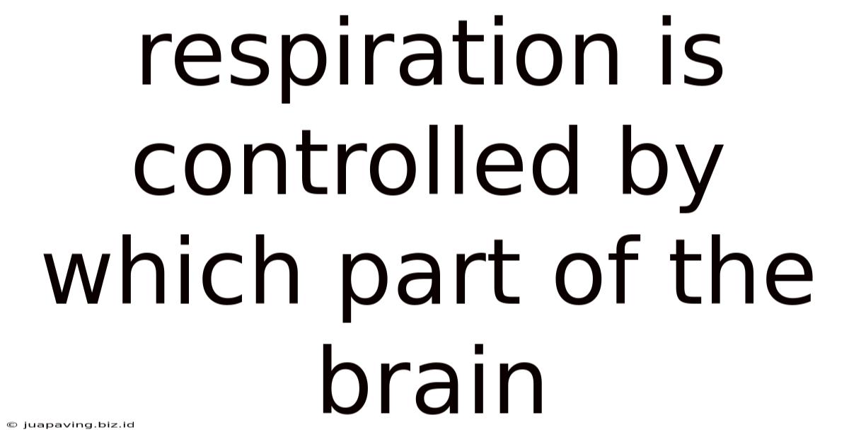 Respiration Is Controlled By Which Part Of The Brain
