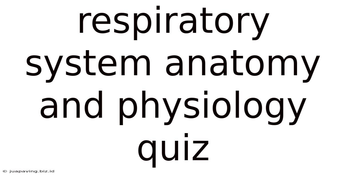 Respiratory System Anatomy And Physiology Quiz