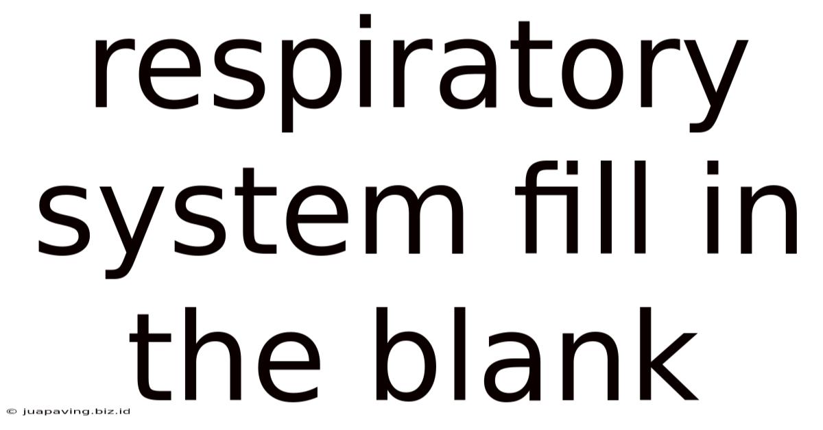 Respiratory System Fill In The Blank