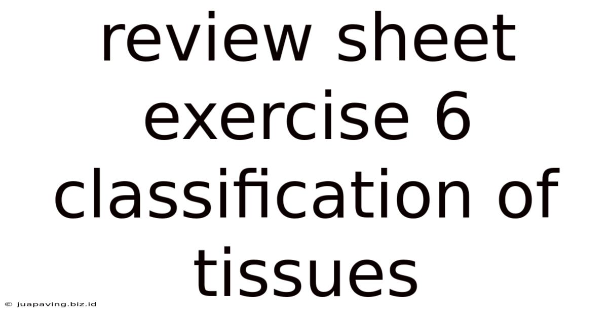 Review Sheet Exercise 6 Classification Of Tissues