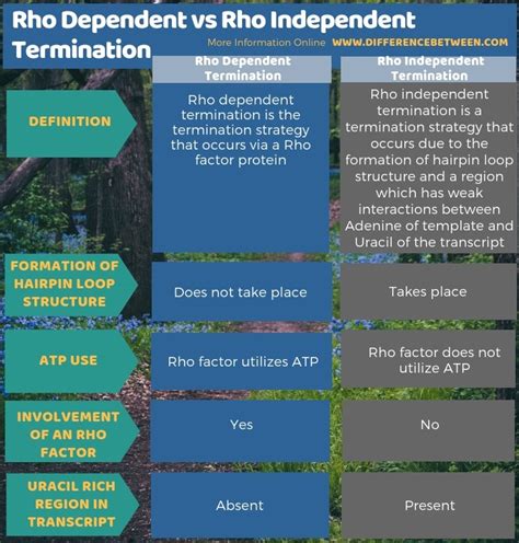 Rho Dependent Vs Rho Independent Termination