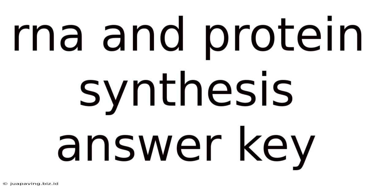 Rna And Protein Synthesis Answer Key