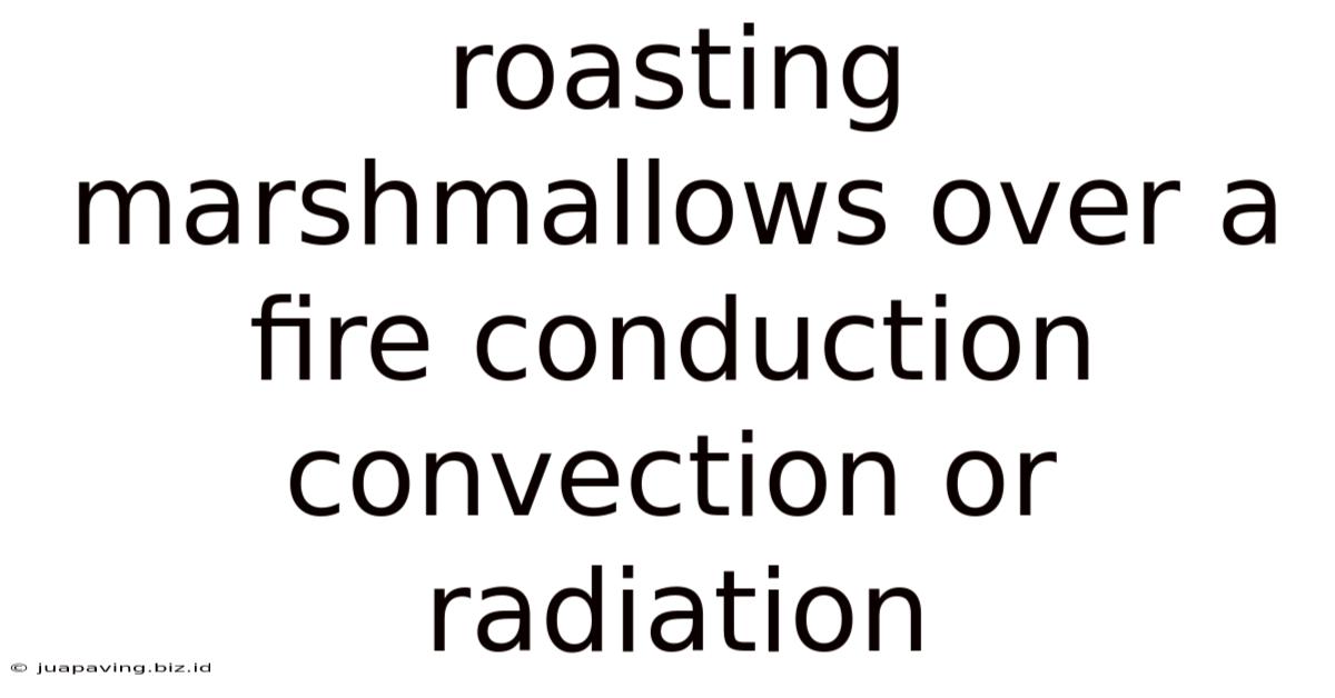 Roasting Marshmallows Over A Fire Conduction Convection Or Radiation