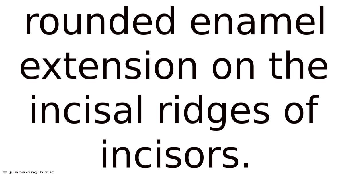 Rounded Enamel Extension On The Incisal Ridges Of Incisors.