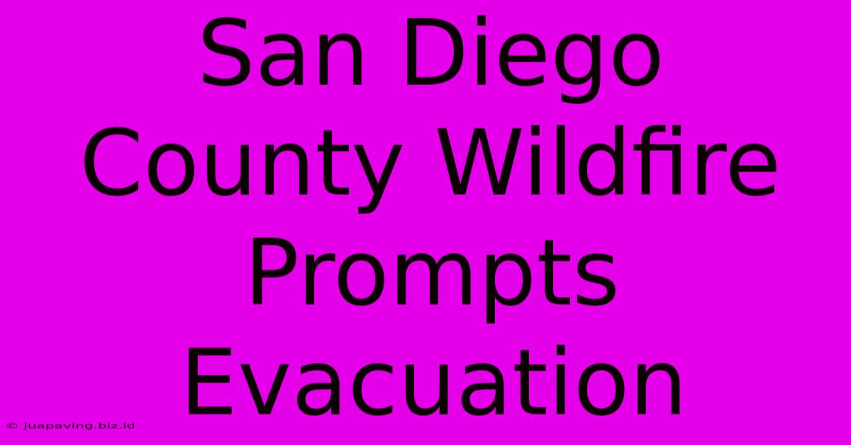 San Diego County Wildfire Prompts Evacuation