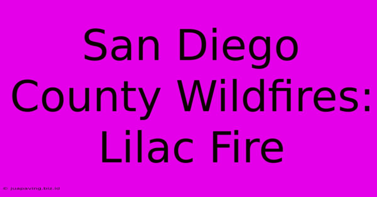 San Diego County Wildfires: Lilac Fire