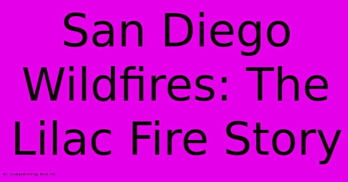 San Diego Wildfires: The Lilac Fire Story