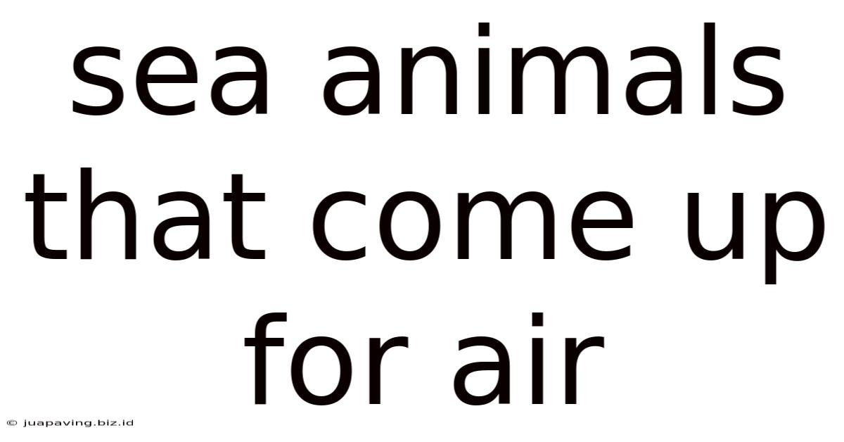Sea Animals That Come Up For Air