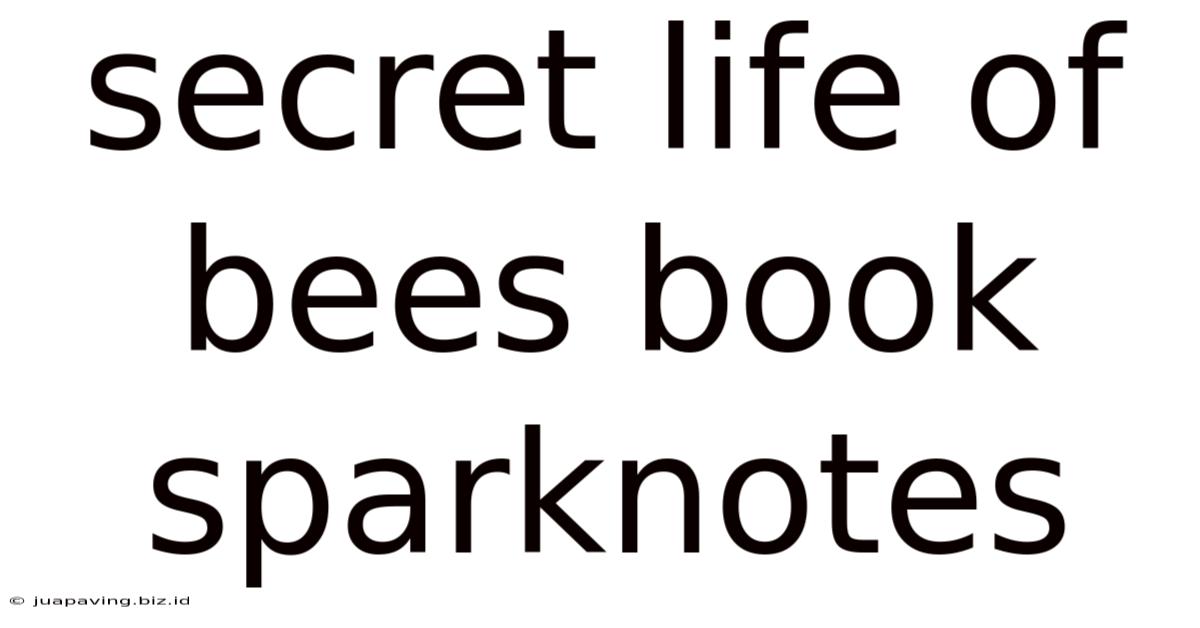 Secret Life Of Bees Book Sparknotes