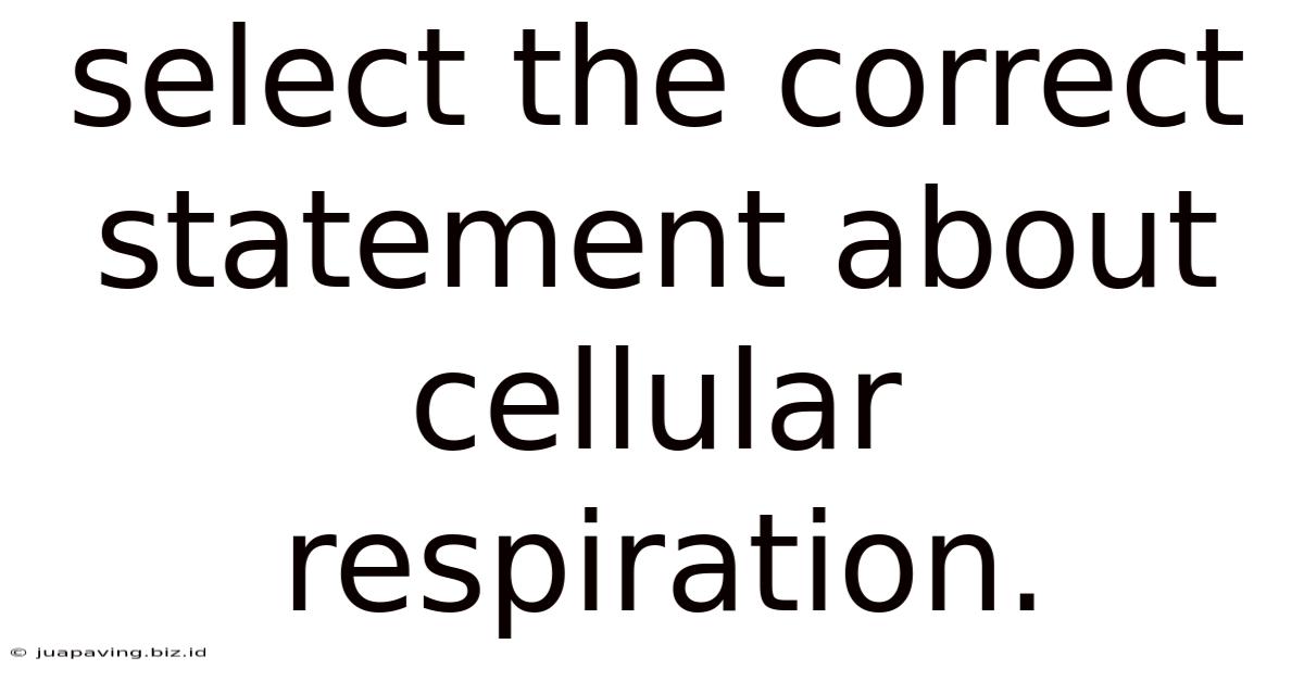 Select The Correct Statement About Cellular Respiration.